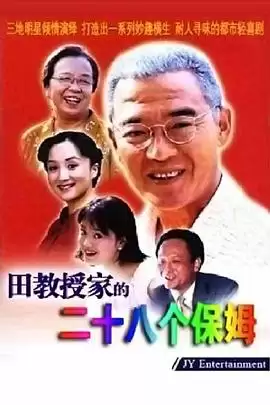 电视剧《田教授家的28个保姆》剧情简介
