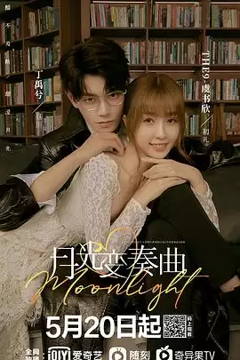 电视剧月光变奏曲剧情介绍