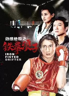 《铁拳浪子》电视剧剧情介绍
