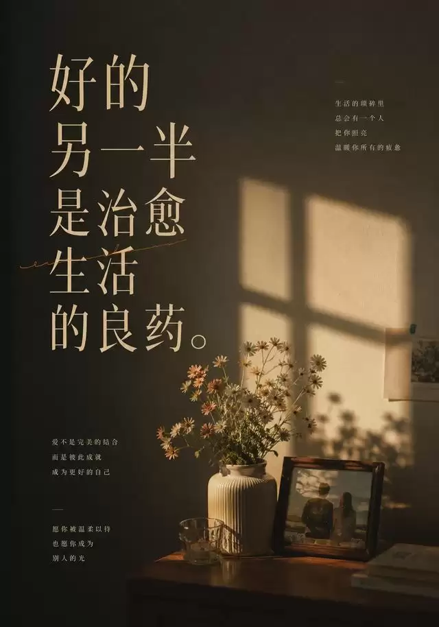 短剧《好的另一半是治愈生活的良药》剧情介绍