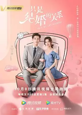 电视剧《只是结婚的关系》剧情介绍