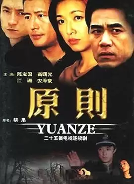 电视剧《原则》剧情介绍