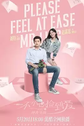 电视剧《一不小心捡到爱》剧情介绍