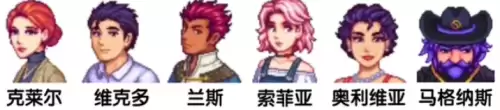 星露谷物语sve结婚对象排名 可结婚npc大全