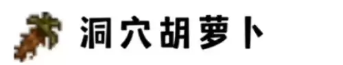 洞穴胡萝卜 洞穴胡萝卜