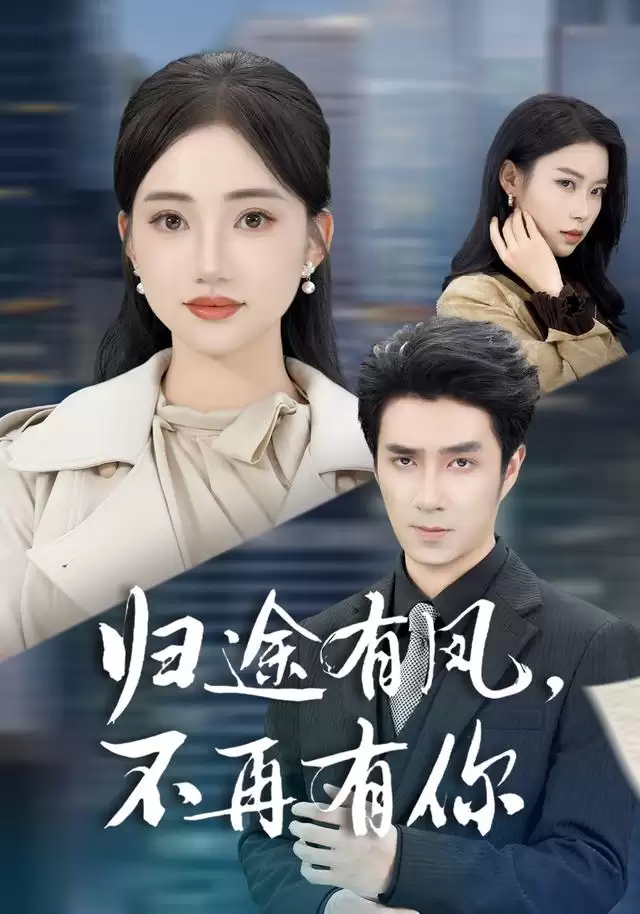 短剧《归途有风：不再有你》剧情介绍