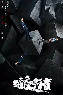 电视剧《暗夜行者》剧情简介