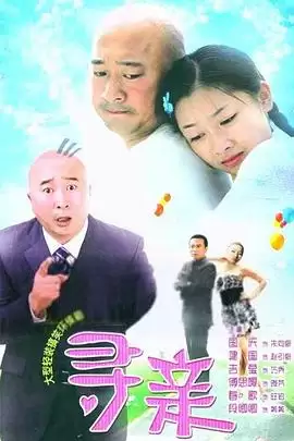 电视剧 寻亲 剧情介绍