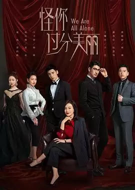 《怪你过分美丽》电视剧剧情介绍