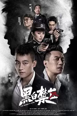 电视剧《黑白禁区》剧情梗概