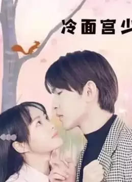 电视剧《冷面宫少的小甜妻》剧情简介