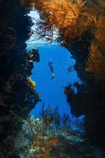 伊莫深海秘境探索玩法介绍-伊莫深海秘境探索怎么玩