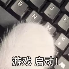 《原始传奇》6级技能性价比出炉：别再浪费书页了