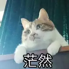 原始传奇恶魔广场与生肖殿堂走法攻略