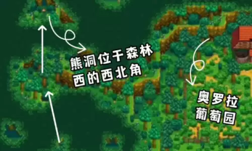 星露谷物语sve熊商店卖什么 熊商店出售物品清单