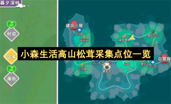 小森生活高山松茸采集点位总览