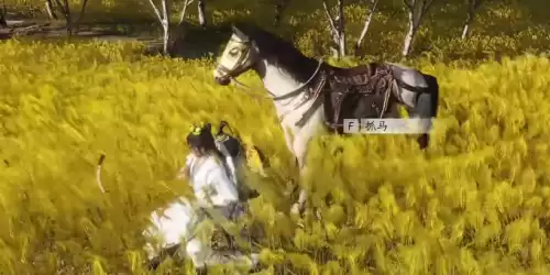 燕云十六声琳琅雪如何获得-珍稀坐骑琳琅雪入手攻略