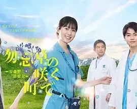电视剧《在勿忘草盛开的城镇～安昙野诊疗记～》剧情介绍