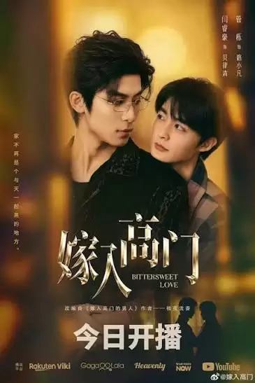电视剧《嫁入高门》剧情介绍
