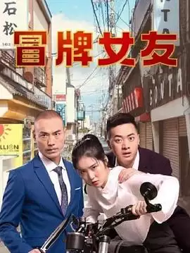 电视剧《冒牌女友》剧情介绍