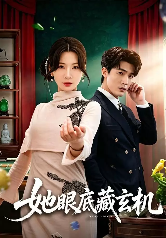 短剧《她眼底藏玄机》剧情简介