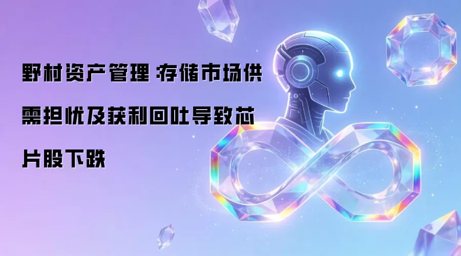 野村资产管理：存储市场供需忧虑及获利回吐致芯片股下挫