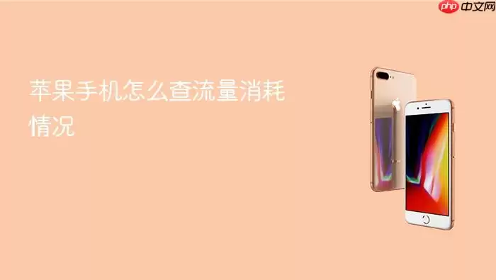 苹果手机如何查流量消耗情况