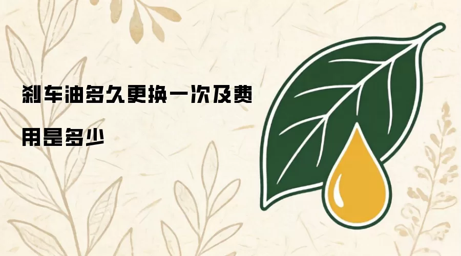 刹车油多久更换一次以及费用是多少