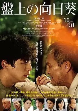 电影棋盘上的向日葵剧情介绍