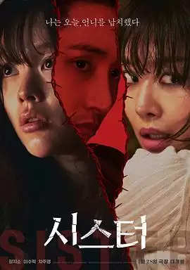 电影《姐妹206》剧情梗概