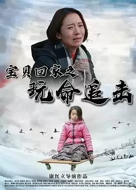 剧情介绍：电影《宝贝回家之玩命追击》