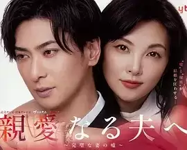 电视剧《致亲爱的丈夫-完美妻子的谎言-》剧情介绍