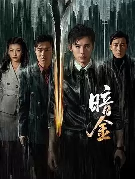 电视剧《暗金》剧情简介