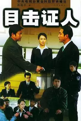 《目击证人》电视剧剧情介绍