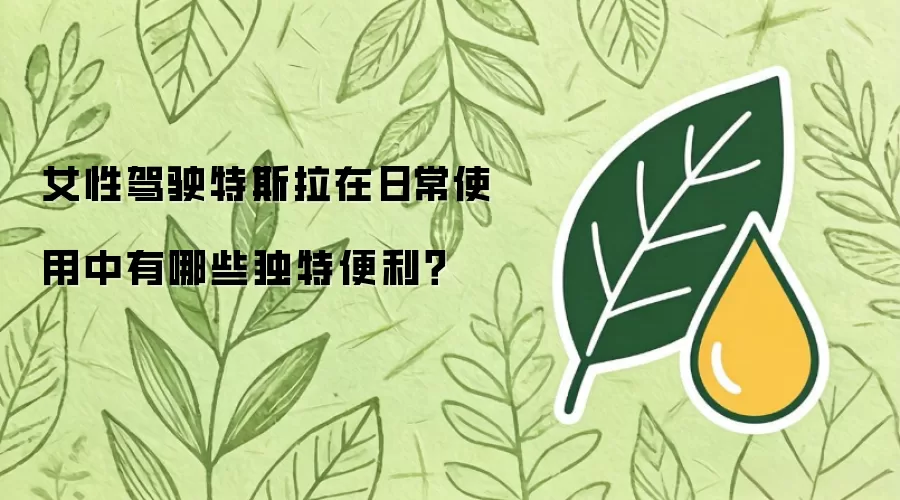 女性驾驶特斯拉在日常使用中有哪些独特便利?