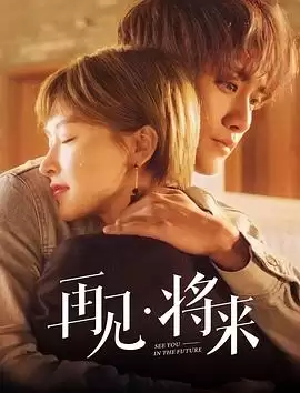 电视剧《再见，将来》剧情介绍