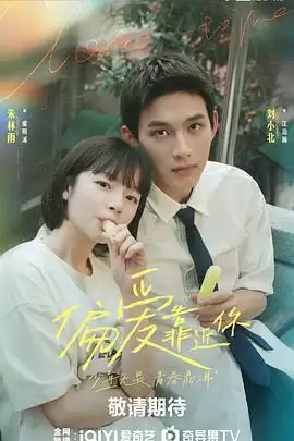 电视剧《偏爱靠近你》剧情介绍