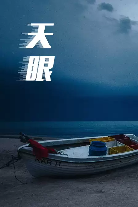 电视剧《天眼》剧情介绍