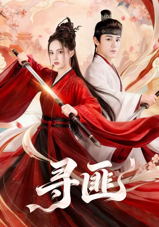 短剧《寻匪》剧情梗概