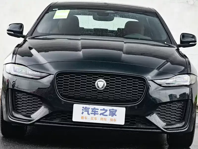 带有豹子车标的是什么车