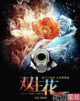 电视剧双生花2014剧情介绍