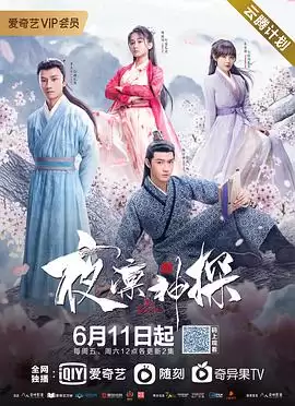电视剧《夜凛神探第一季》剧情概要