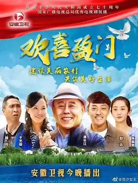 电视剧欢喜盈门剧情介绍