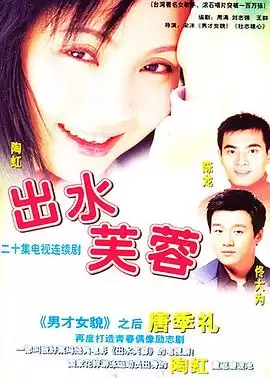 电视剧《出水芙蓉2003》剧情简介