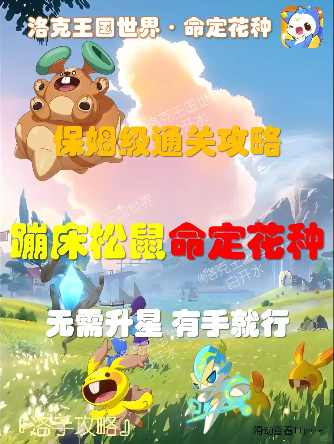 洛克王国世界命定花种蹦床松鼠如何打