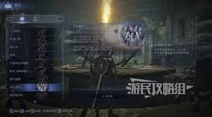 艾尔登法环黑夜君临安定者遗物用什么