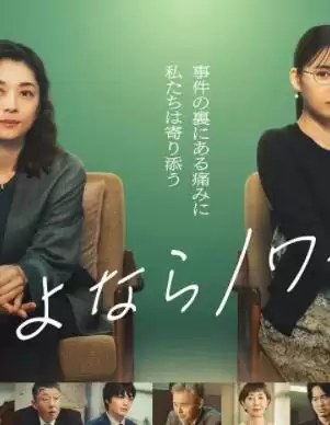 电视剧《再见黑色》剧情介绍