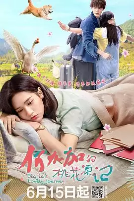 电视剧《何加加的桃花源记》剧情介绍