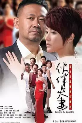 电视剧《伙伴夫妻》剧情介绍