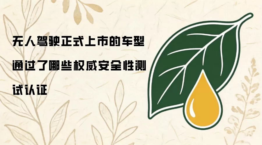 正式上市的无人驾驶车型通过了哪些权威安全性测试认证